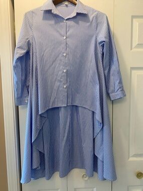 STYLE Brand Blue and White Striped Hi-Low Button Shirt Dress